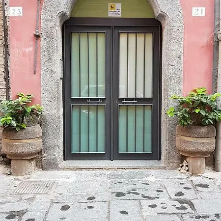 Angelo'S House-2
